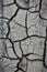 Detail of a cracked earth, crack earth, crack soil , global warming