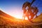 Detail of cyclist man feet riding mountain bike on outdoor trail in sunny meadow