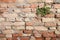 Detail of a dated wall in Burano island, Venice