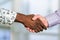 Detail of diverse business handshake.