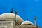 Detail of the dome of the taj mahal with a hawk flying nearby in Agra