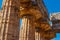 Detail of doric columns of the greek Temple of Hera-II. Paestum, Italy