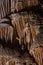 Detail of Draperies is The Big Room Of Carlsbad Caverns