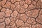 Detail dry cracked ground earth texture