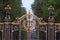 Detail from entrance gate in Buckingham palace.