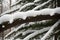 Detail of an evergreen branch heavy with snow