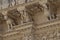 Detail of the facade Basilica of Santa Croce,Lecce,Apulia region, southern Italy