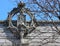 Detail Facade Louis Sullivan Building, Chicago