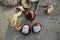 Detail of fallen chestnuts