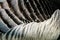 The detail of feathers of a Canadian goose.