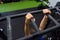 Detail of female hands gripping bar rig and doing leg raises in local gym.