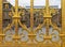 Detail of the Fence, Palace of Versaille