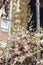 Detail of floral ornamentation on a throne of Holy week, Linares, Andalusia, Spain