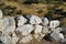 Detail of the fortification walls of the ancient citadel of Mycenae