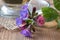 Detail of fresh lungwort flowers on a table