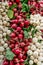 Detail of fresh white and red radish in farmers market.Edible root vegetable. Healthy diet eating. Group of crunchy ripe radishes.