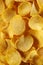 Detail of fried potato chips