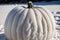 Detail of frost on a pumpkin in snow