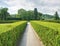 Detail of a garden labyrinth, hedge buxus new spring shoots