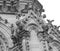 Detail of gargoyle of Basilica of Notre Dame in Paris France