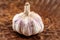 Detail on garlic bulb, cloves under purple skin, in an old wood