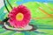 Detail of gerber daisy on a colorful child painting ,gift for Mothers day or birthday present