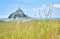 Detail of grass in the foreground and Mont Saint Michel, France, in the background