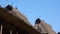 Detail of grass rooftops at Bena a traditional village with grass huts of Ngada people in Flores.