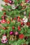 Detail of green Christmas tree with colored ornaments, globes, stars, Santa Claus, Snowman, red boots, shoes, candles