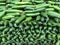Detail of Green Lebanese Cucumbers in Shop