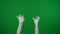 Detail green screen isolated chroma key photo capturing mummy's hands raised up in the air, creepily moving.