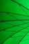 Detail of a green sunshade