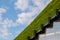 Detail of green sustainable facade with step of plant wall cover the building.