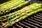 detail of grill marks on an asparagus spear