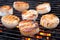 detail of grill marks on perfectly cooked scallops