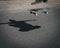 Detail of a guy performing a trick while skateboarding