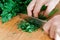 Detail of hands chopping up a bunch of parsley on wood chopping