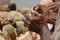 Detail of hands of coconut street vendor