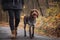 Detail on happy look of Bohemian Wire-haired Pointing Griffon walking beside his master`s feet. Authentic portrait of a dog and