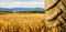 The detail of the harvester wheel on the mowed grain ,in the background are the hills