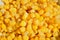 Detail of a heap of yellow corn maize as a symbol of sweet healthy organic vegetable