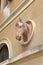 Detail of horse head sculpture on carriage house of Villa of San Martino on the island of Elba in the Tuscan Archipelago of