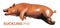 detail illustration of suckling pig