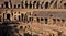 Detail from the inside of the Colloseum