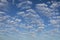 Detail of intense blue sky in broad daylight with fluffy white cumulus