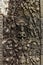 Detail of Intricately Carved Bas Relief in Hindu Temple