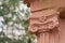 Detail of the ionic capital of a sandstone column