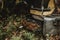 Detail of the jagged metal part of the stopped forest harvester with stuck bark remnants on it