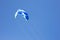 Detail of kite flying in blue sky background