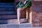 Detail of legs and feet of adult female Hispanic classical ballet dancer in green and black tutu with coins, performing figures